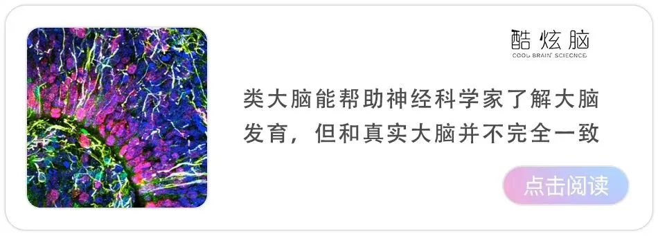 地球的另一端会有能完全理解我的“另一个我”吗？