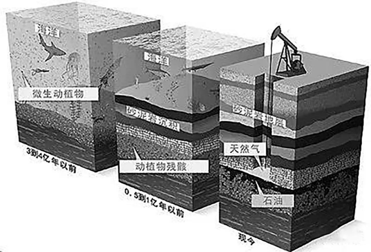 石油枯竭是骗局？地球碳储量有1.5亿亿吨，哪来这么多生物尸体？