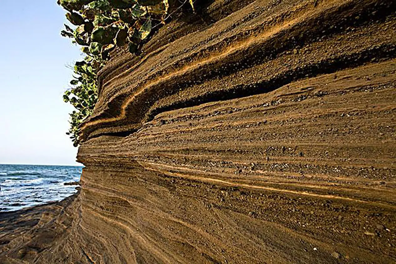 石油枯竭是骗局？地球碳储量有1.5亿亿吨，哪来这么多生物尸体？