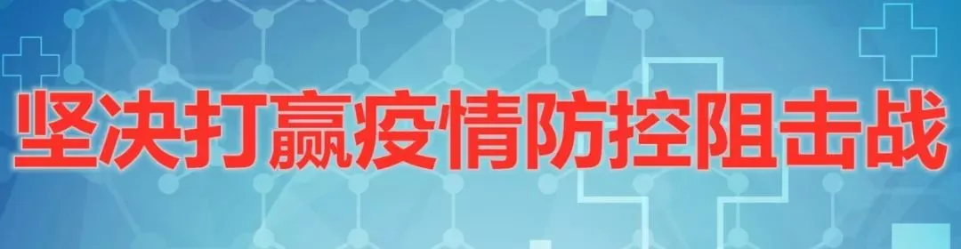 2020年我市民营企业进出口和胶合板进出口逆势增长