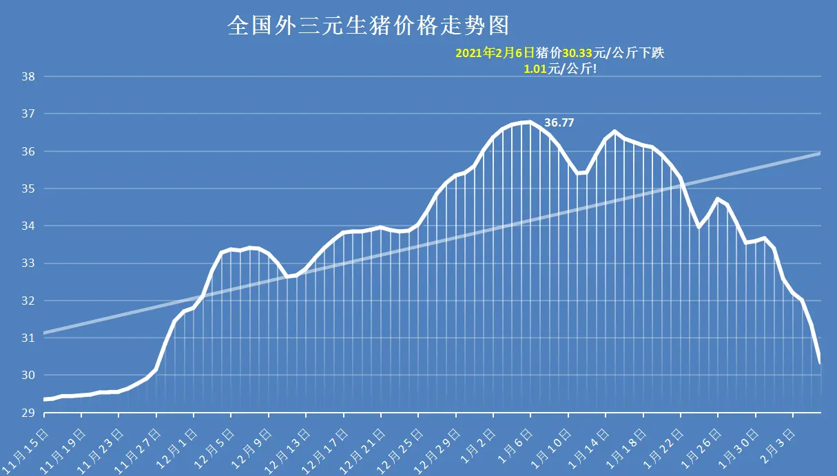 猪价大变，2月行情“失控”，3个坏消息，春节猪价预计要跌至？