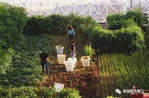 一场企图帮助人类“脱离地球”的实验，最终却差点把人逼疯了