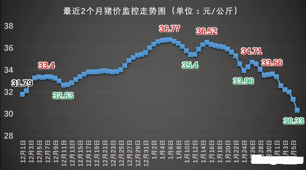 2月6日猪价“跳水暴跌”，北方猪价崩塌！猪肉大跌潮要来了？