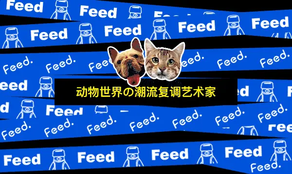 不会洗澡？学学猫就行了