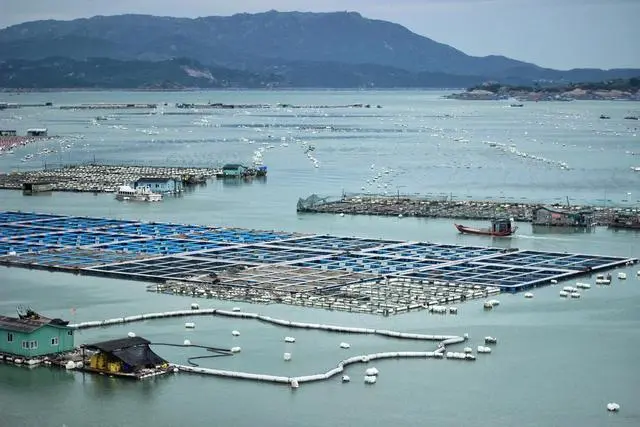 中国唯一的海上村庄，所有房屋“漂浮”在海面，台风来了也吹不走