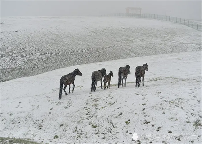 “六月飞雪”都出现了，异常天气接连不断，真的是多灾多难吗？