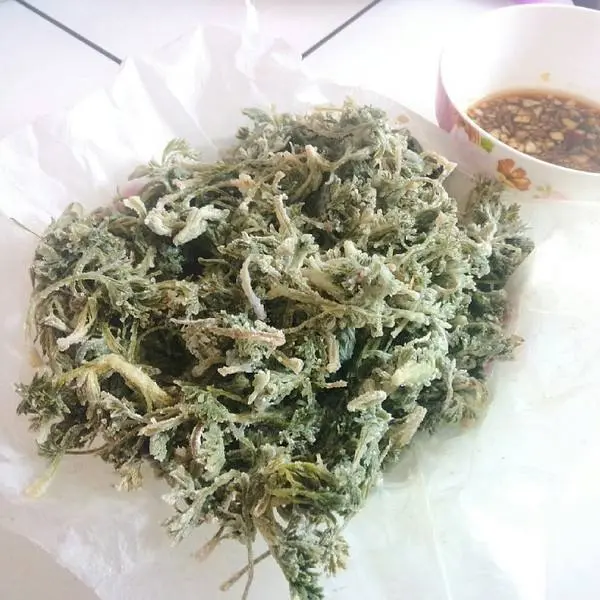 路边上的“护肝菜”，一分钱不花，隔天吃一盘，排出毒素，肝脏变强壮