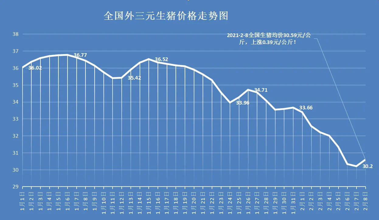 8日猪价上涨，强撑行情势寡，猪价走跌大势所趋，下一步12元！