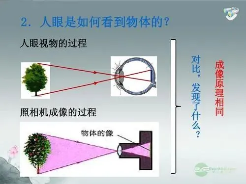 眼睛将波浪线看成锯齿，神奇的视觉效果出现了，我们又被骗了