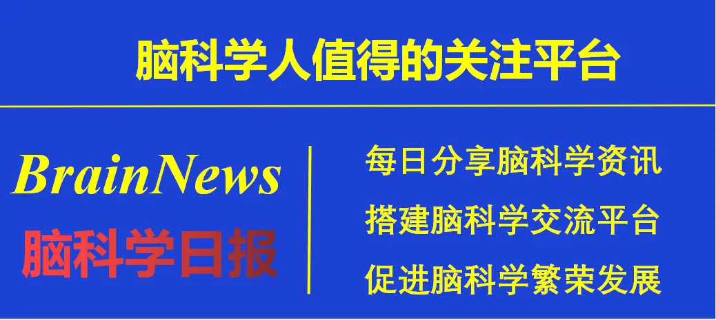 脑科学日报：大脑刺激可改善时空旅行记忆；高蛋白，更健康？