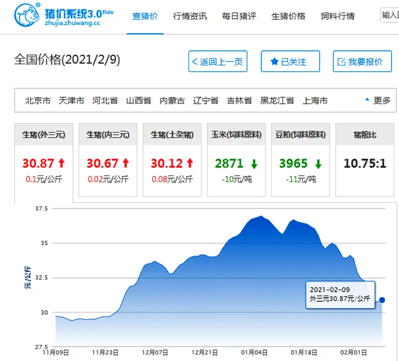 猪价横盘走强，多地上涨飘红，年后猪价承压，下一步或跌至8元！