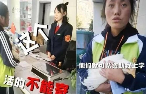 当初为获得马云的资助，给支付宝寄母鸡的小女孩，后来怎么样了？