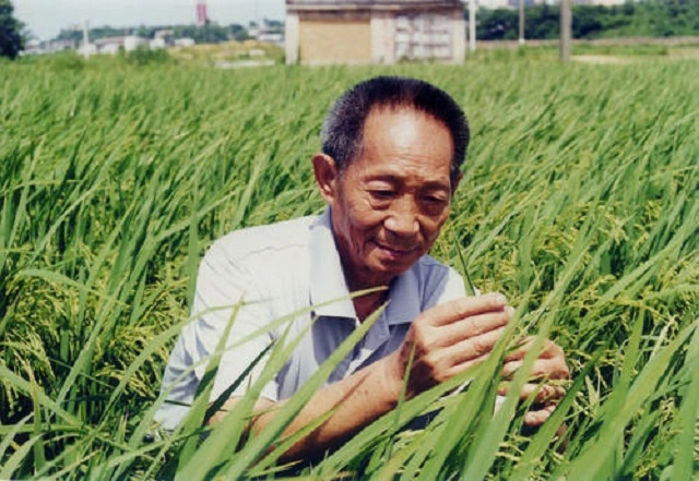 曹德旺：我不是首善，袁隆平这样的人才能称之为首善