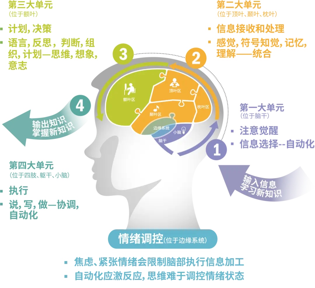 教育部规定6岁上学背后的深意，90％的家长都不知道