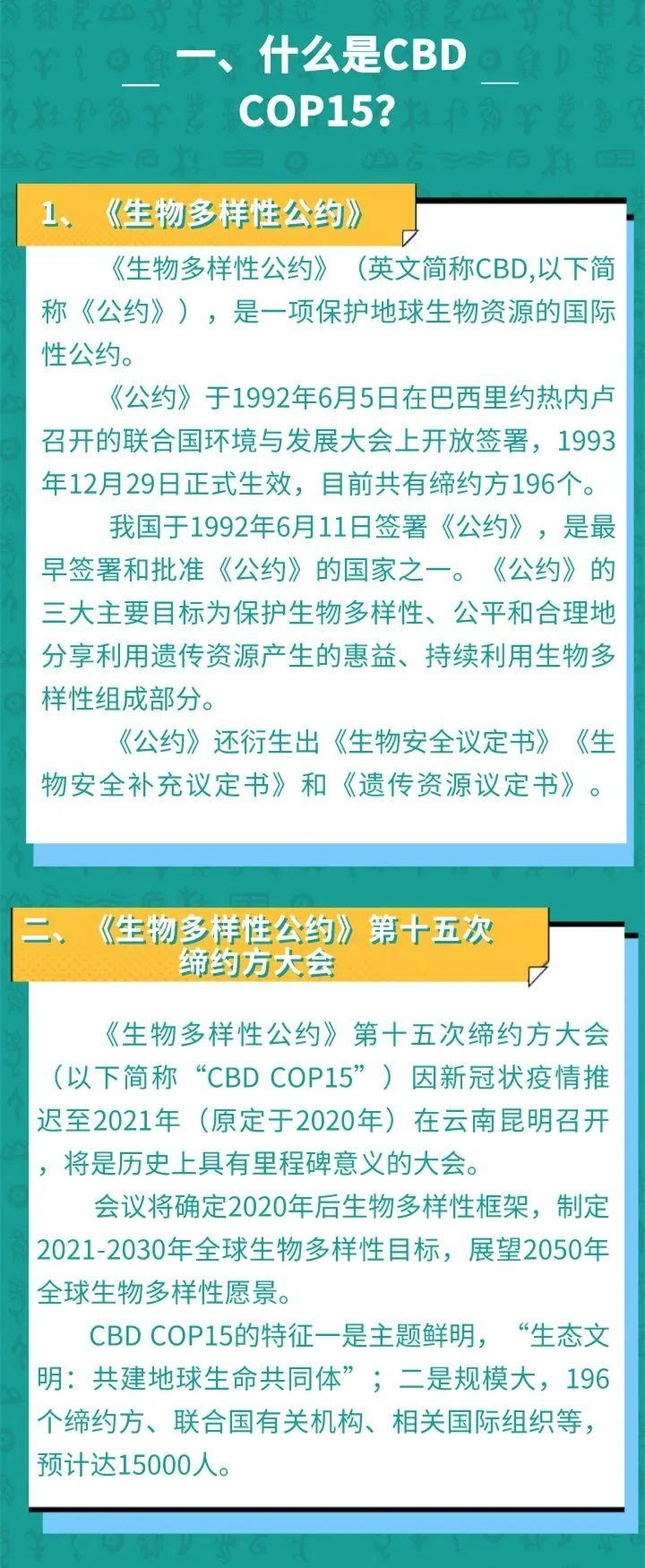 保护生物多样性，共建万物和谐的美丽家园