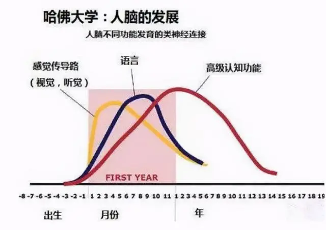 哈佛研究：儿童一生有3次变聪明的机会，并非都在“初中”