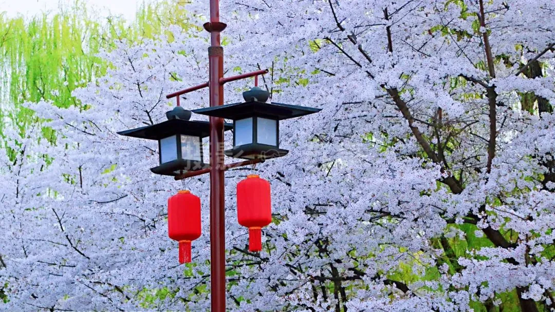 西安大唐芙蓉园的春夏秋冬，你觉得哪个美？