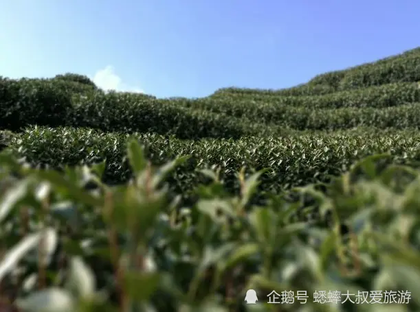 西湖边有座“委屈”名山，地位堪比北高峰，但游客天差地别！