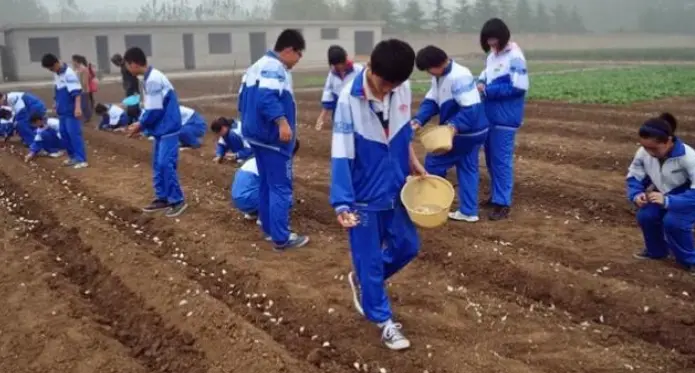 教育学生真正有效的办法，不是说服和打骂，而是无所作为的教育