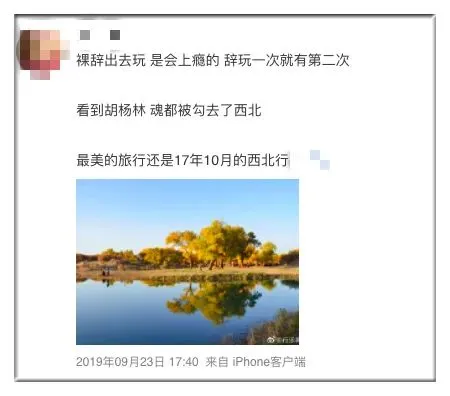 怎么证明你还年轻？当然是裸辞！