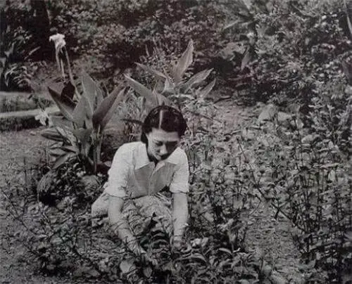 张学良亲手拍摄赵四小姐老照片，这模样，像极了现代一个女明星