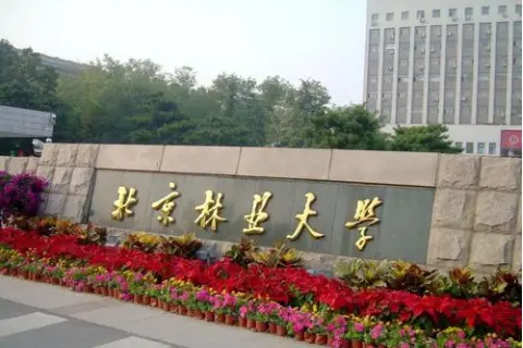 北京这所211大学很“低调”，综合实力强口碑好，考生不要错过