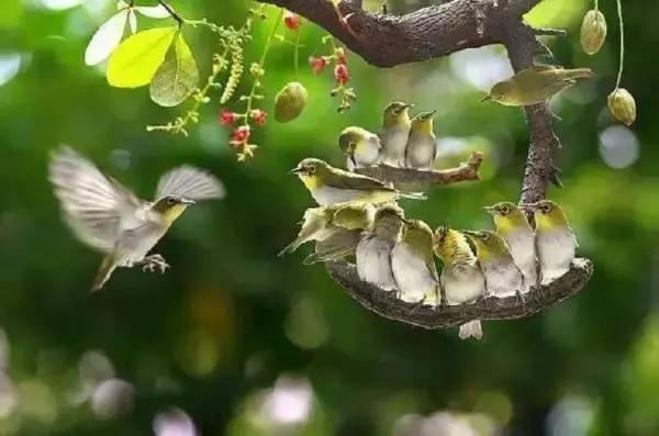 世界上最幸福的照片