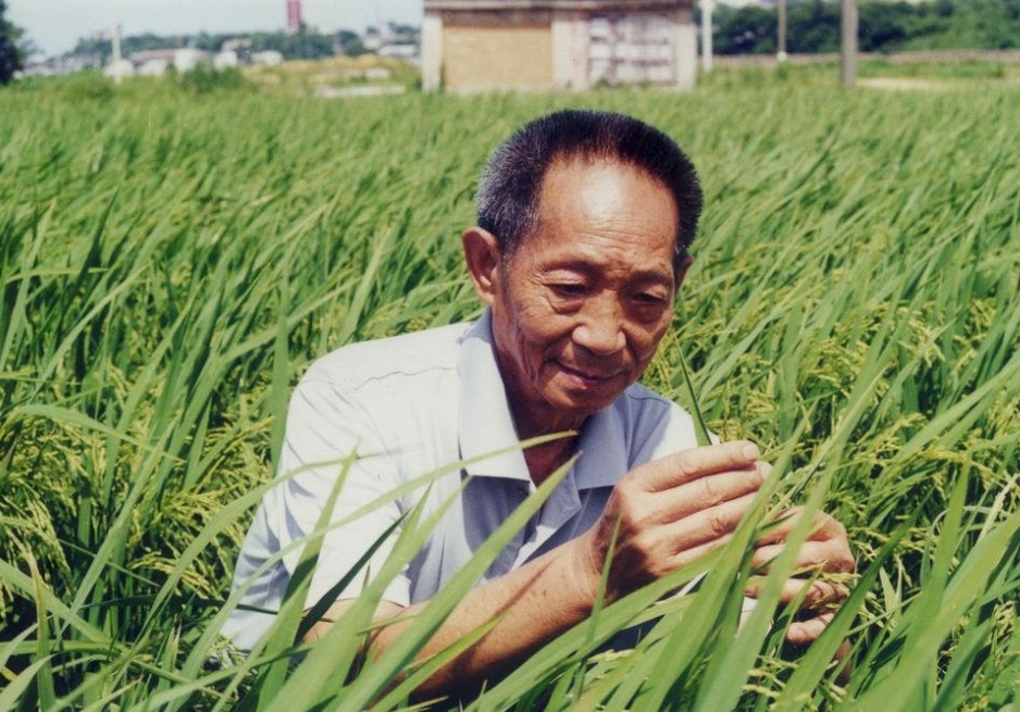 开卷迎新满目春！袁隆平樊锦诗等在人民日报撰文谈读书