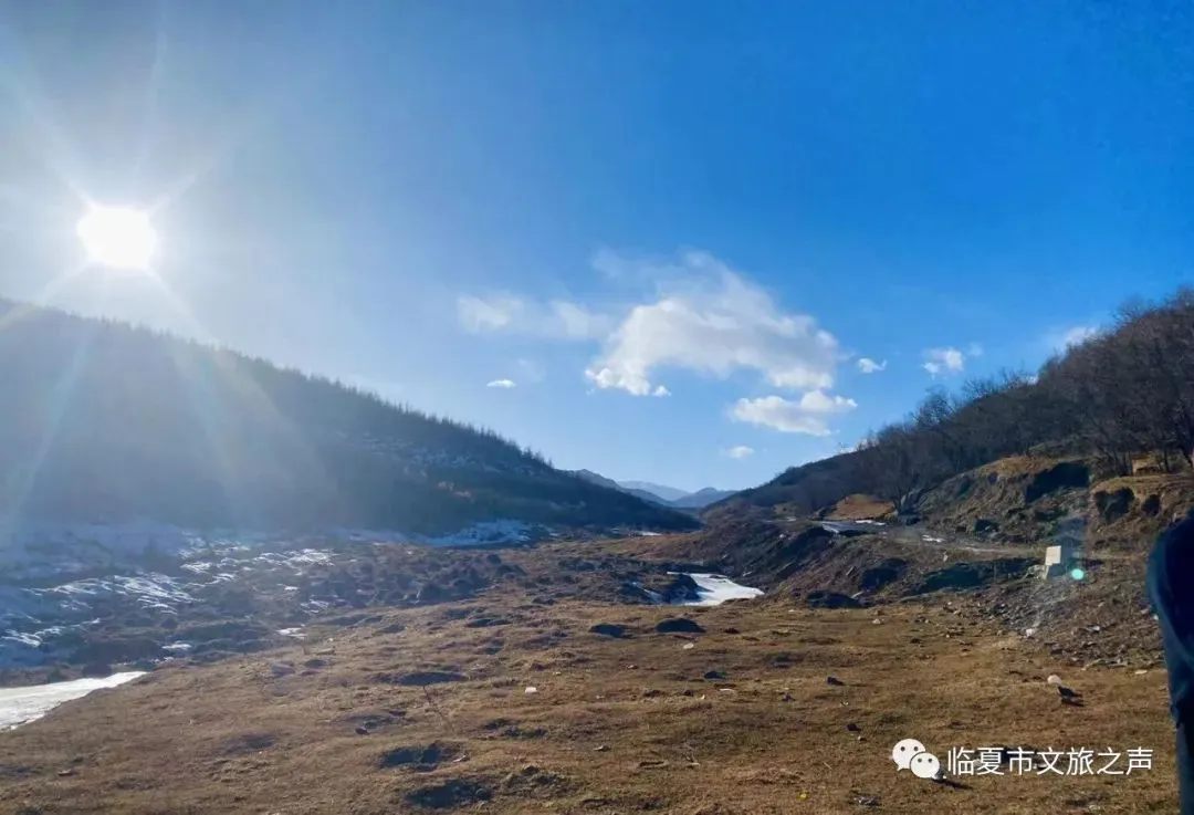 山间初春与味蕾的碰撞