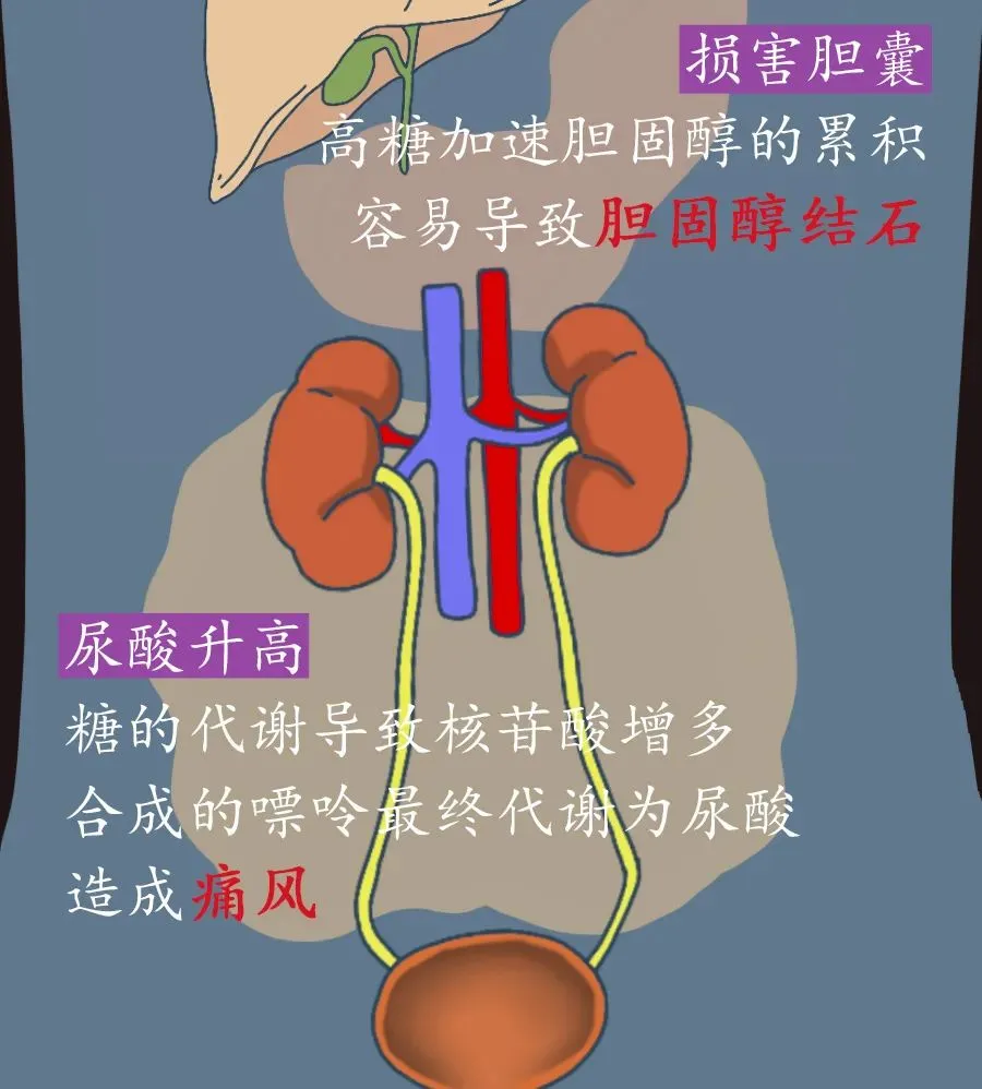 爱吃糖的人，会变丑？