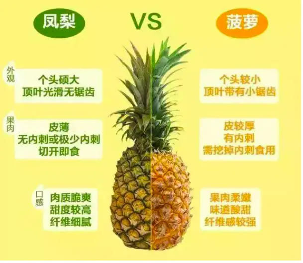 都是名字惹的祸！凤梨和菠萝到底是不是同一种水果？