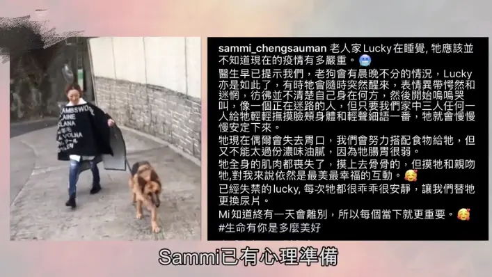 感动！许志安爱犬将离世，两夫妻全天陪同，为其打2000多的止疼针