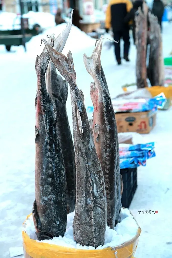 一方水土：零下20度还在露天卖年货的人们