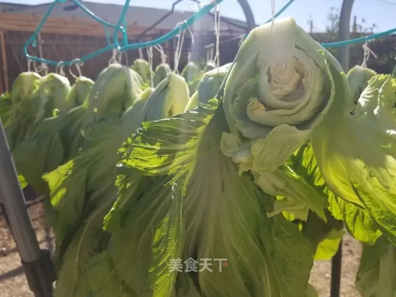 自制梅干菜：自己做干净无沙，放一年也不坏