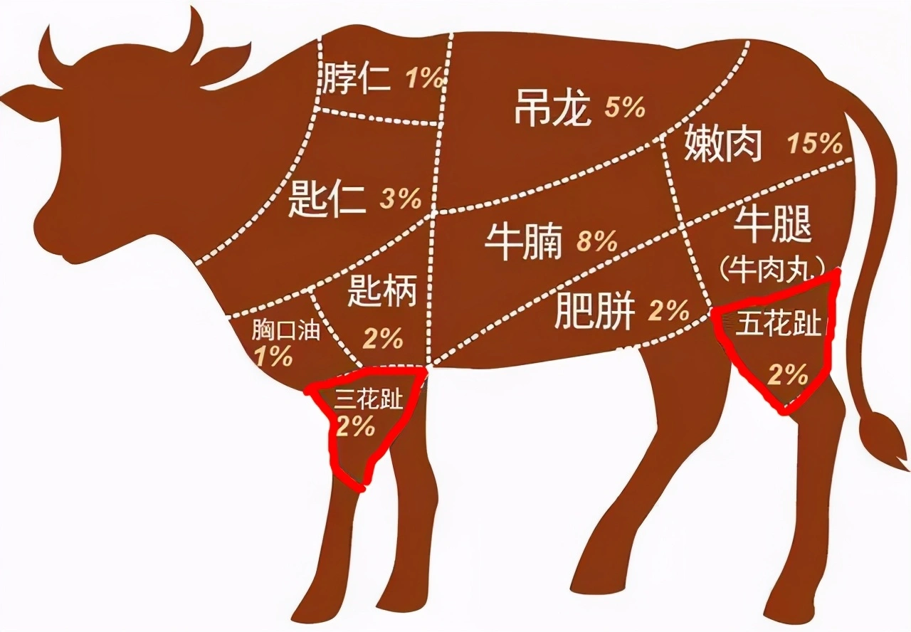 买腱子肉，要分清“前腱”和“后腱”，差别挺大，弄懂再买没人敢忽悠