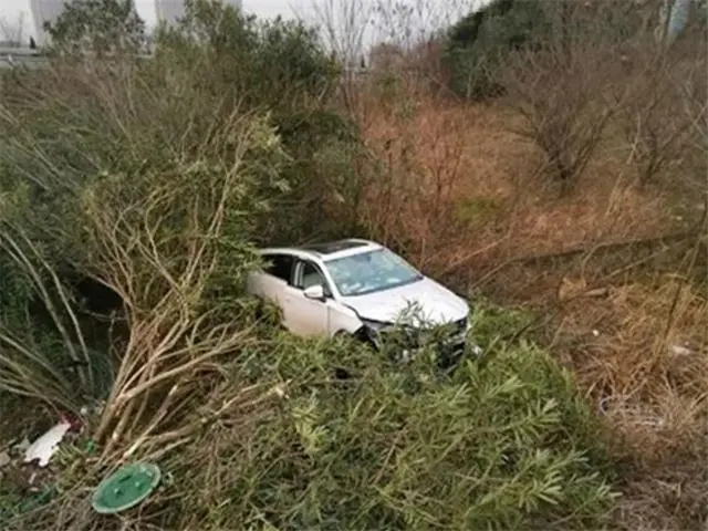 男子高速上自动巡航，淡定睡着结果车子“飞”下高速！