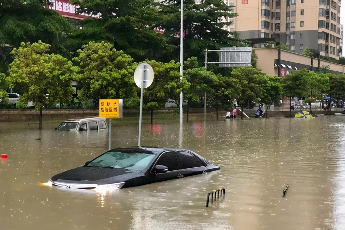 在买车时，这4种车再便宜也最好别碰，不然可能以后麻烦会一大堆