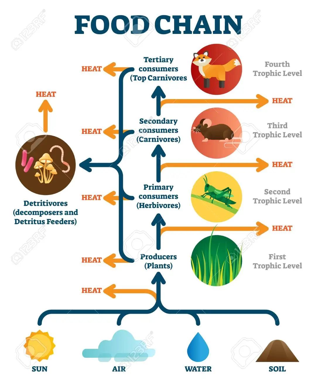 火化打破自然规律？所有动物死后都会生态循环，人类火化太浪费？