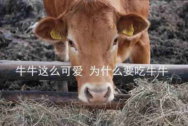 吃我的肉喝我的奶还不够？连打嗝放屁都要管？