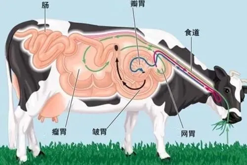 吃我的肉喝我的奶还不够？连打嗝放屁都要管？