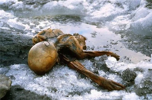 欧洲发现一具干尸，姿势古怪，专家：他死于5300年前的一次谋杀