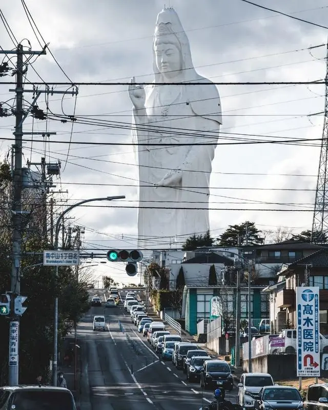 24张令人头皮发麻的图片，巨物恐惧患者慎入，倒数第二张绝了