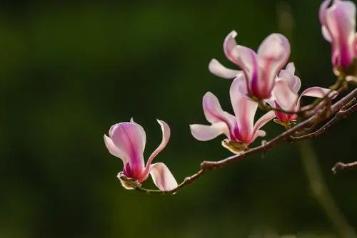 你是什么样的人，就有什么样的缘