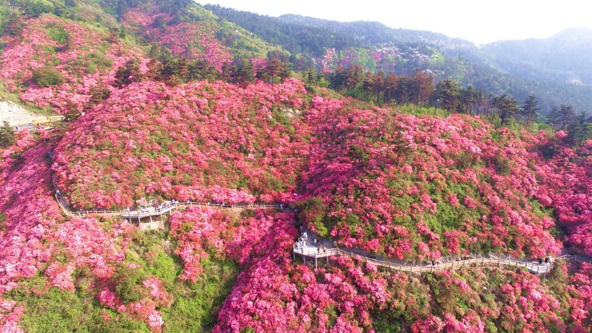 福建莆田仅剩的县，明明发展非常乐观，却迟迟未设区