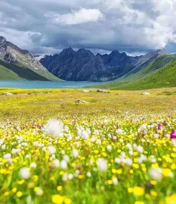 重大消息！青海发现美丽秘境！全世界为之瞩目！