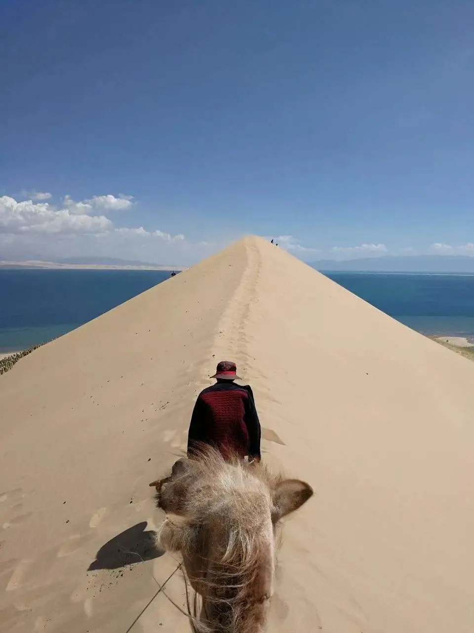 重大消息！青海发现美丽秘境！全世界为之瞩目！