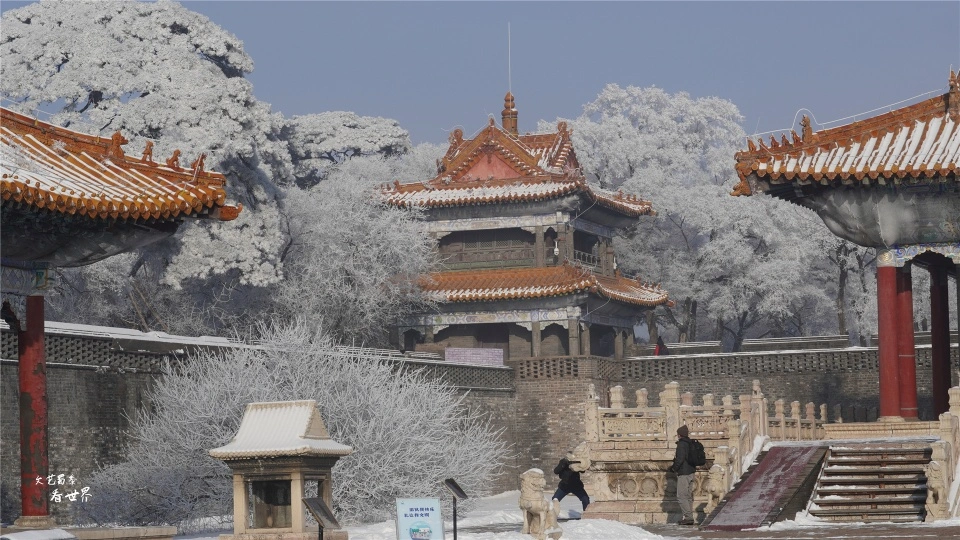 如果我说辽宁沈阳才是东北未来的宜居城市，对此您怎么看？