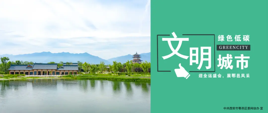 鄠邑区频现红腹角雉！