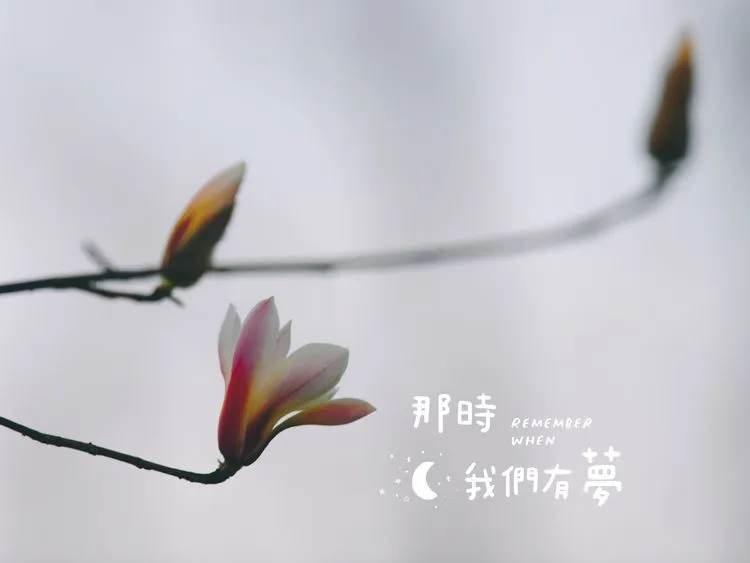 花开未满的春天，你是否喜欢？