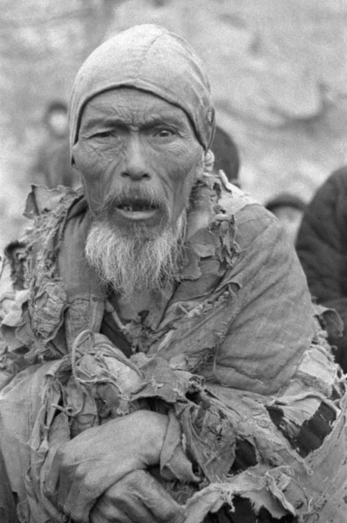 河南人，要不是你的祖辈在“河南大饥荒”中忍饥挨饿求生存，也就没有你啊！